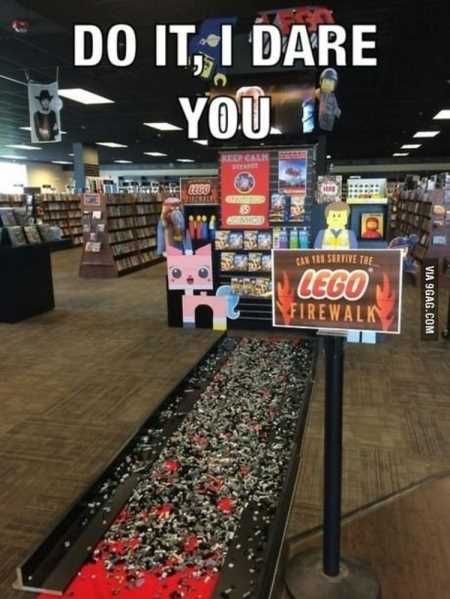 New Funny Pictures Youre Going To Love 2008