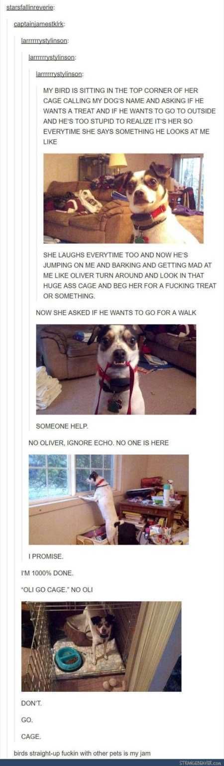 New Funny Pictures Youre Going To Love 2010