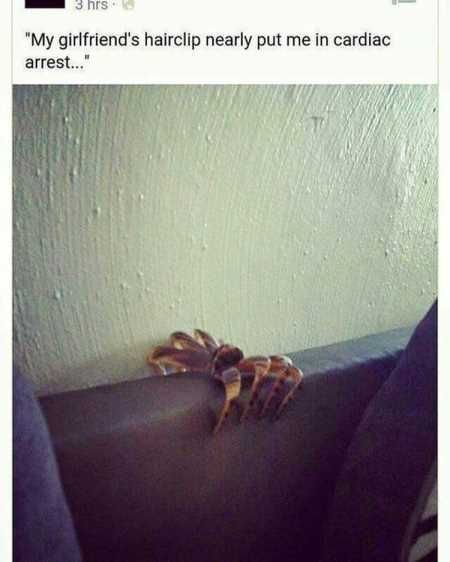 New Funny Pictures Youre Going To Love 2017
