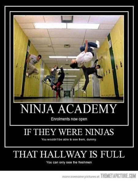 New Funny Pictures Youre Going To Love 2022