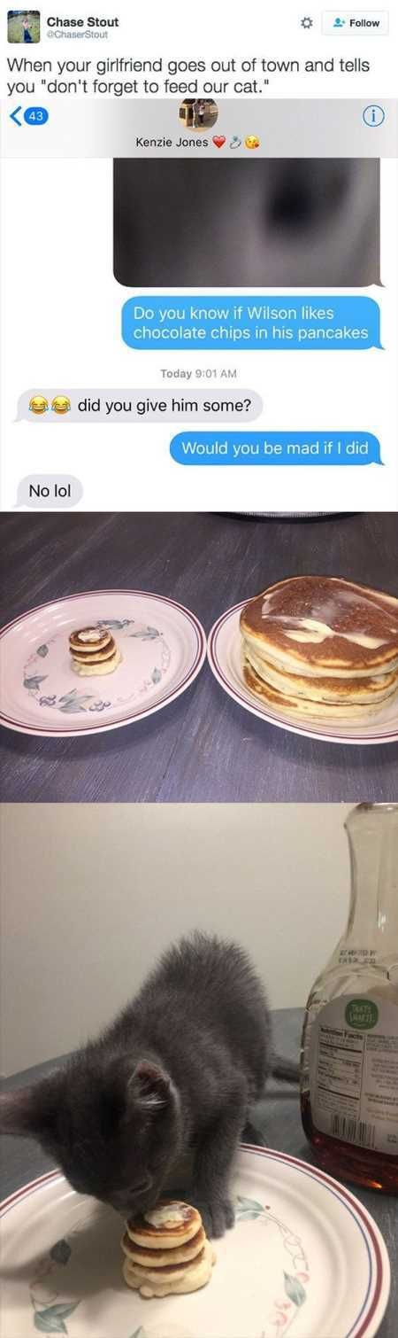 New Funny Pictures Youre Going To Love 2023