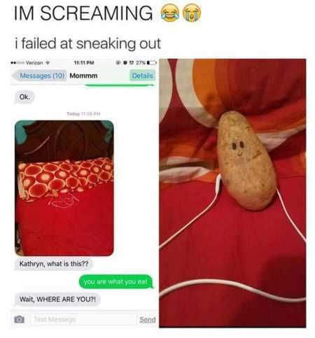 New Funny Pictures Youre Going To Love 2024
