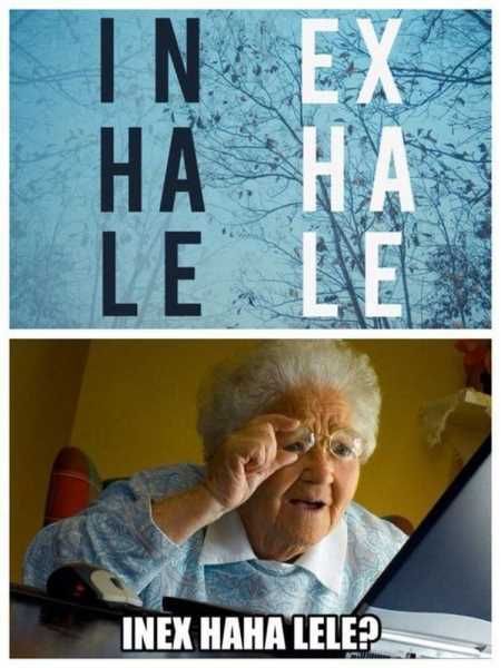 New Funny Pictures Youre Going To Love 2026