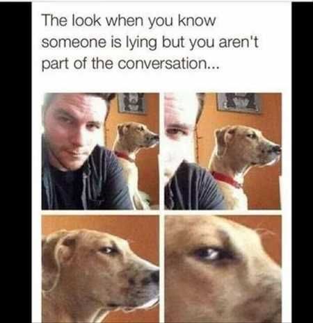 New Funny Pictures Youre Going To Love 2029