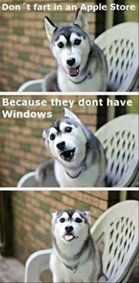 New Funny Pictures Youre Going To Love 2031