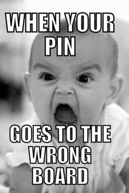 New Funny Pictures Youre Going To Love 2034