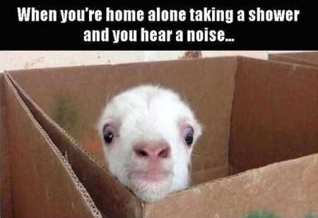 New Funny Pictures Youre Going To Love 2037