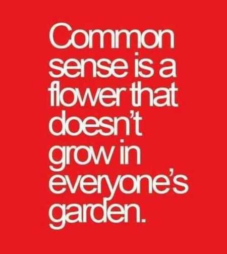 New Funny Quotes Youre Going To Love 2003