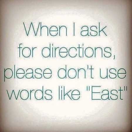 New Funny Quotes Youre Going To Love 2023