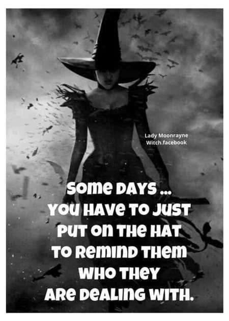 New Funny Quotes Youre Going To Love 2026