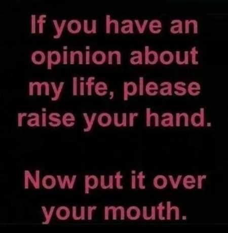 New Funny Quotes Youre Going To Love 2039