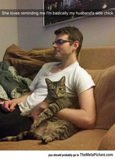 Pretty Hilarious Animal Pictures 3008