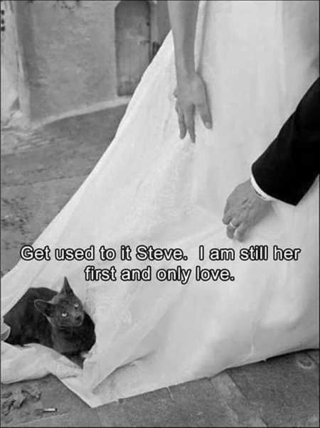Pretty Hilarious Animal Pictures 3020