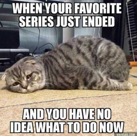 Pretty Hilarious Animal Pictures 3029