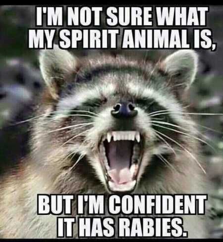 Pretty Hilarious Quotes 3030