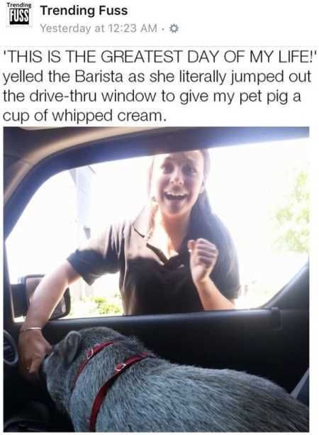 Really Funny Pictures 3004
