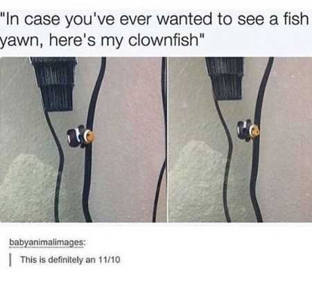 Really Funny Pictures 3009