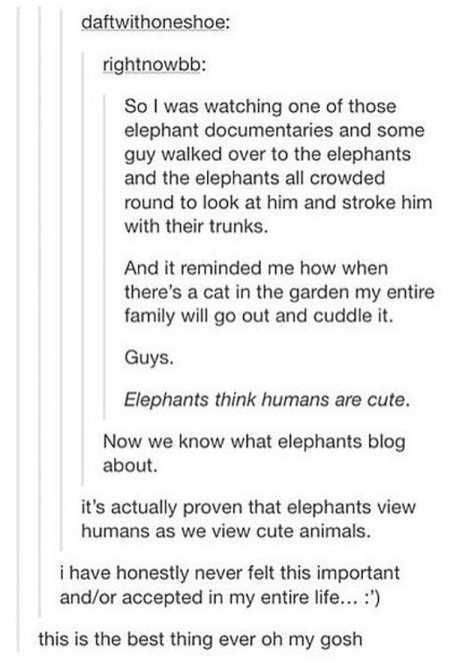 Really Funny Pictures 3010