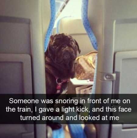 Really Funny Pictures 3014
