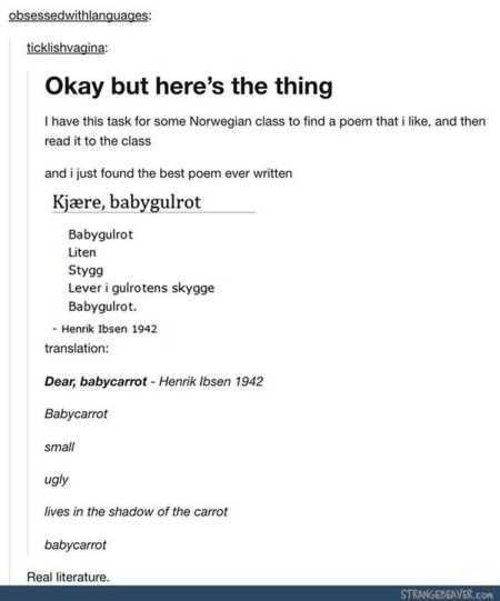 Really Funny Pictures 3017