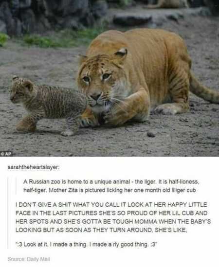 Really Funny Pictures 3028
