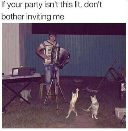 The Best Funny Animal Pictures Ever 4005