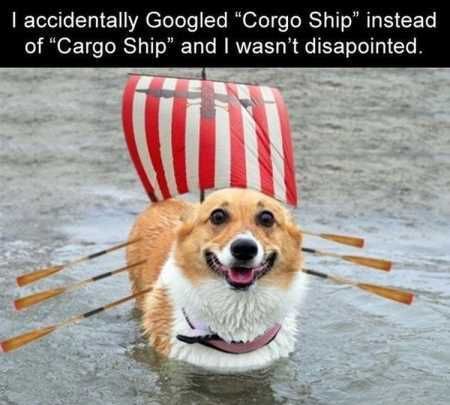 The Best Funny Animal Pictures Ever 4009