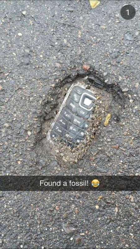 The Best Funny Pics Ever 4001
