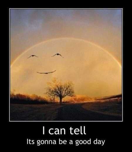 The Best Funny Pics Ever 4010