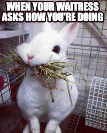 The Best Funny Pics Ever 4020