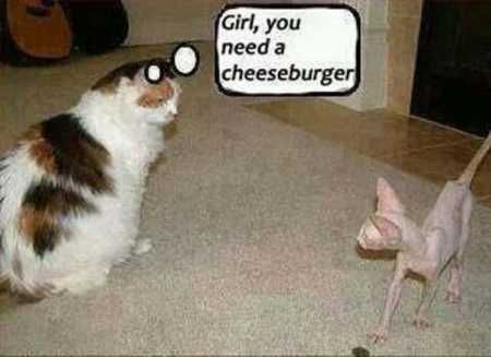 The Best Funny Pics Ever 4025