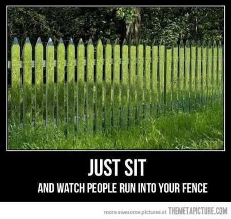 The Best Funny Pics Ever 4027