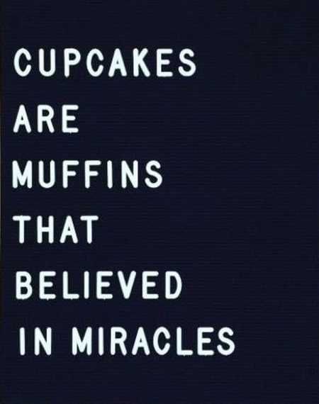 The Best Funny Quotes Ever 4008