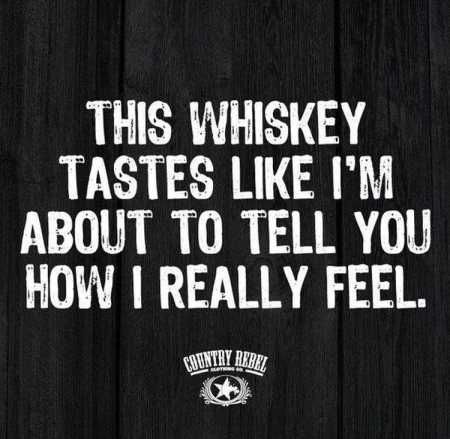 The Best Funny Quotes Ever 4022