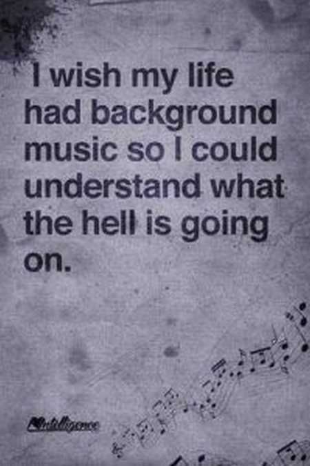 The Best Funny Quotes Ever 4023