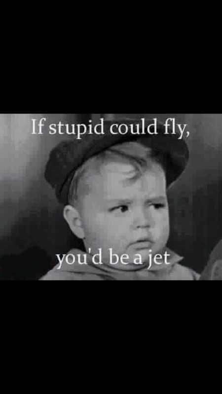 The Best Funny Quotes Ever 4027