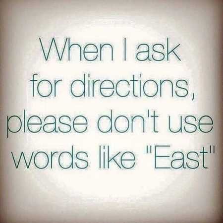 The Best Funny Quotes Ever 4028