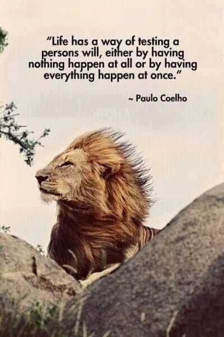 Wonderful Inspirational Quotes 3030