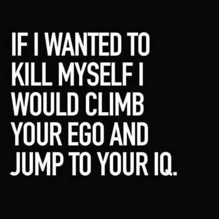36 Funny Quotes Sarcasm 205