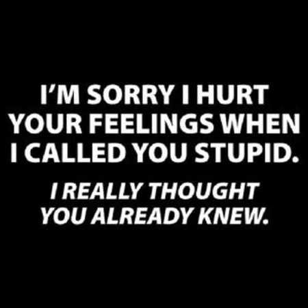 36 Funny Quotes Sarcasm 209