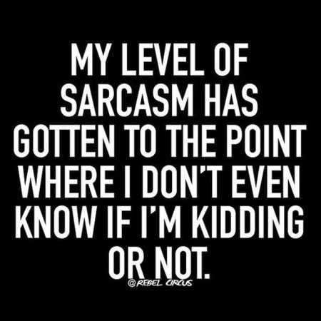 36 Funny Quotes Sarcasm 212