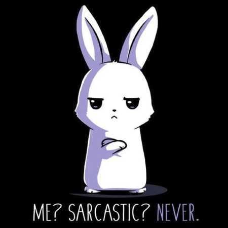 36 Funny Quotes Sarcasm 229