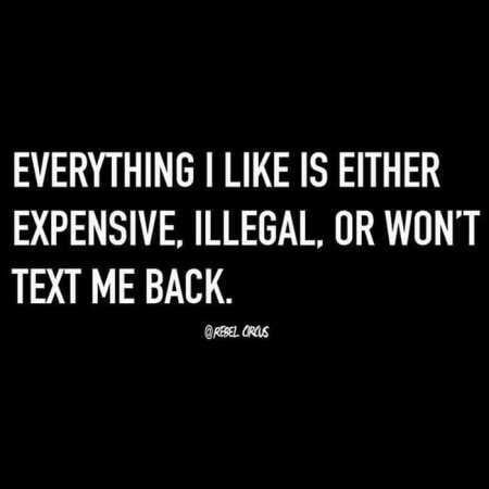 36 Funny Quotes Sarcasm 231