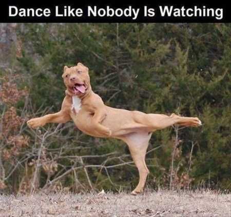 Absolutely Adorable And Funny Animals 408