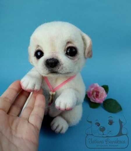 Absolutely Adorable And Funny Animals 409
