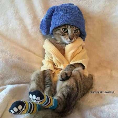 Absolutely Adorable And Funny Animals 425