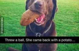 Absolutely Hilarious Animal Pictures 318