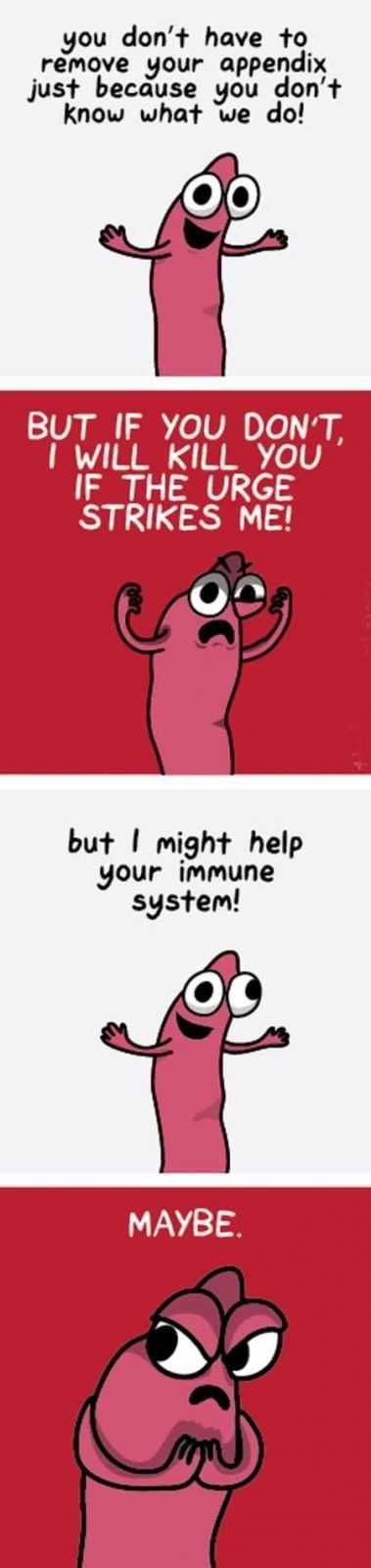 Funny Pics With Captions 105