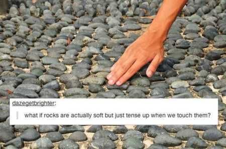 Funny Pics With Captions 108