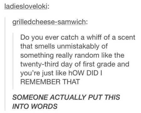 Funny Pics With Captions 112